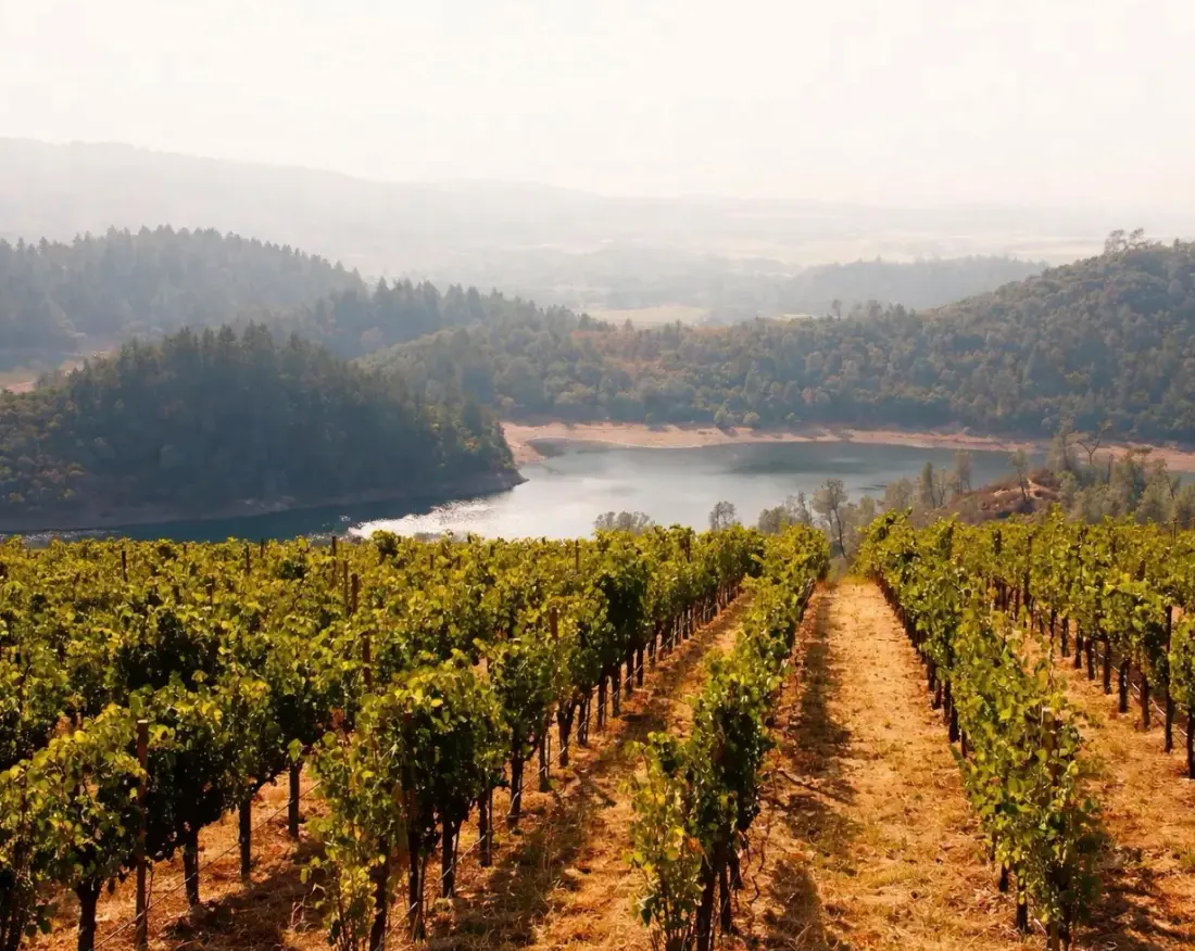 Napa Valley, California